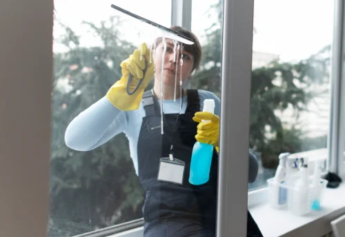 Nettoyage de vitres intérieures et extérieures à Bulhon